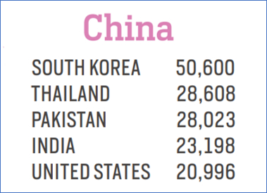 MSM Research_China Statistics